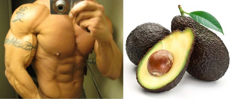 Avocado – Eine interessante Frucht in der Diät