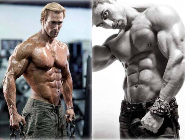 Das richtige Protein in der Diät