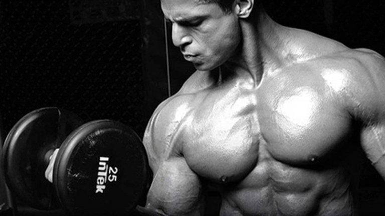 Natriuretisches Peptid: Warum die Fettverbrennung so komplex ist