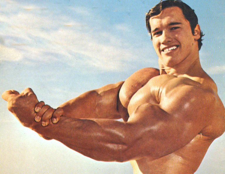 HIT vs. Volumentraining – Was ist besser?