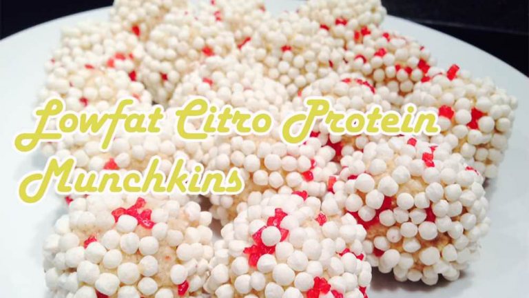 Lowfat Citro Protein Munchkins
