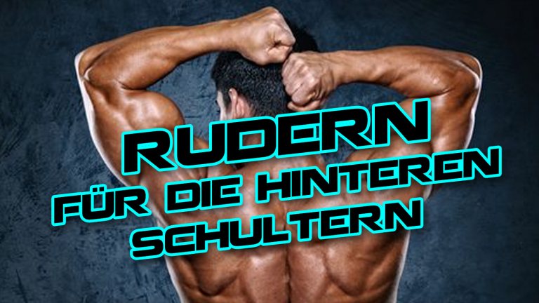 Rudern für die hinteren Schultern